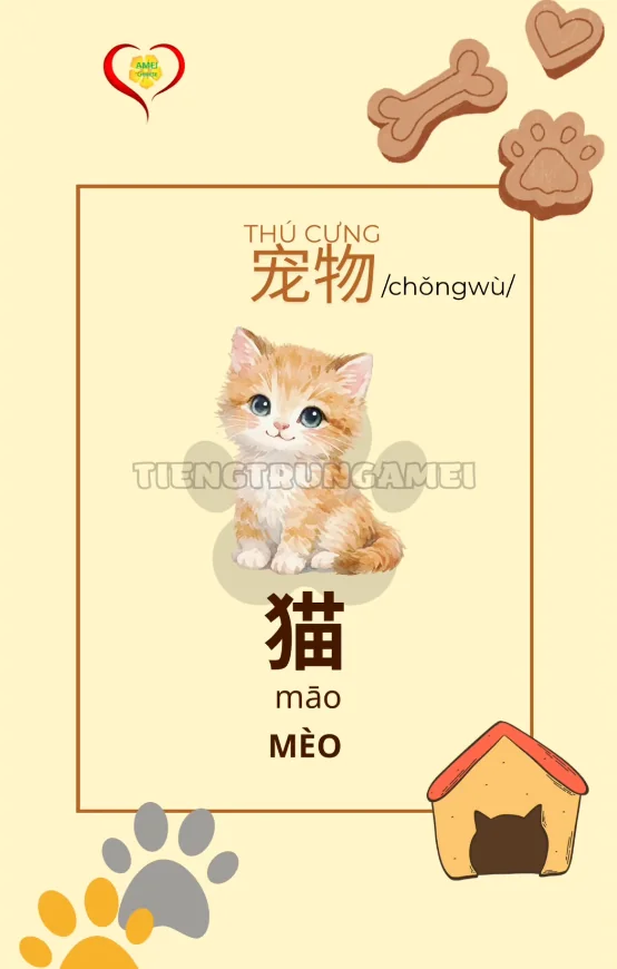 Tiếng Trung Amei